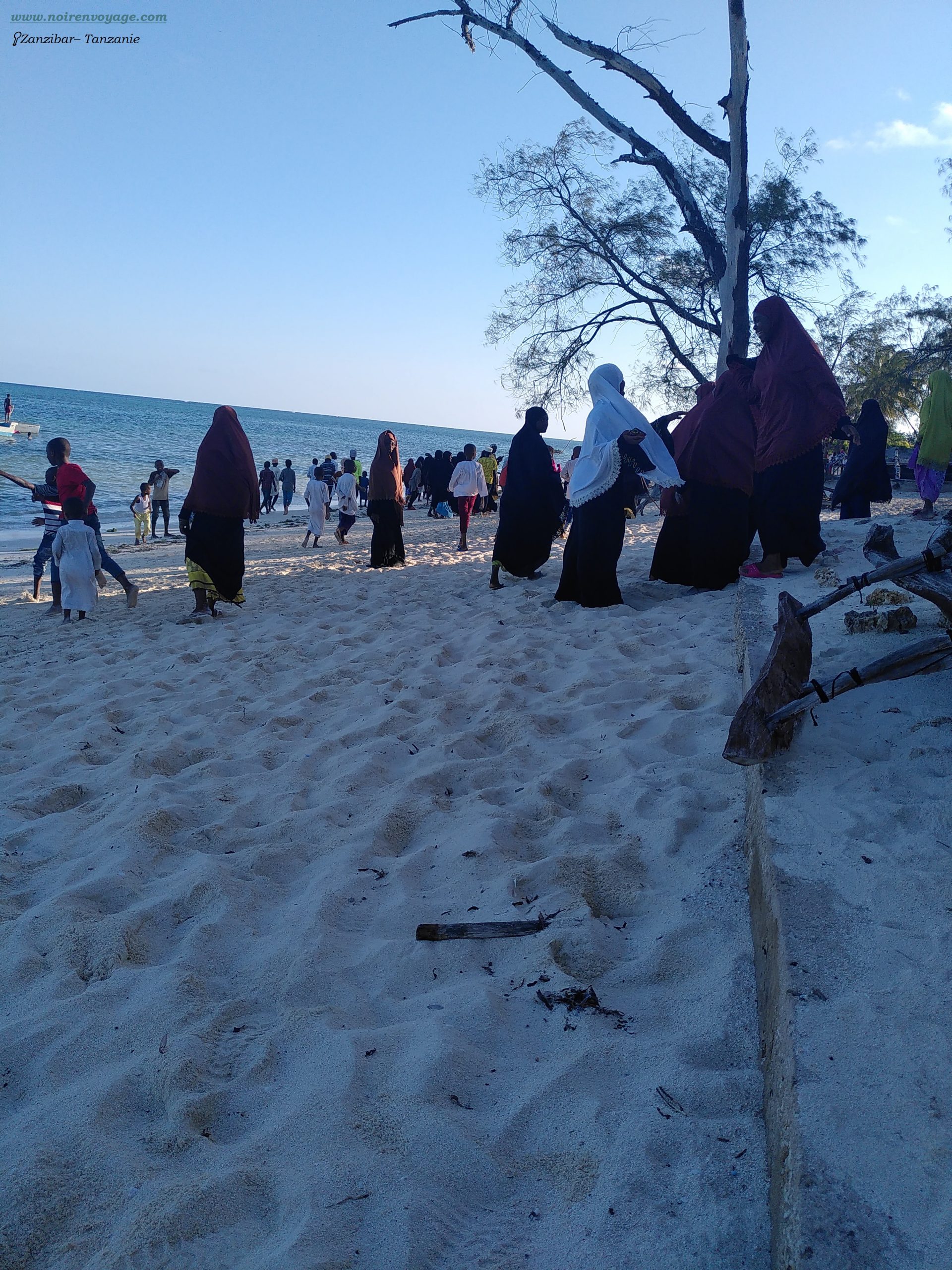 Zanzibar : Un Guide Solo pour Découvrir Safari Blue et Plus