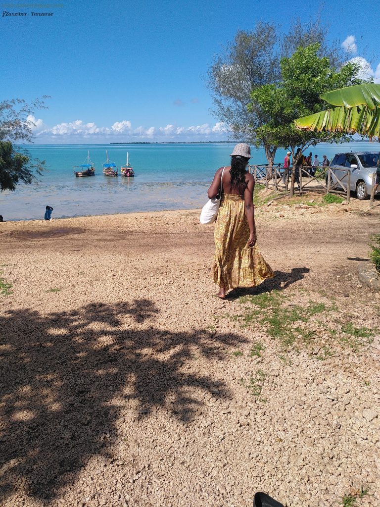 Noienvoyage Zanzibar départ Safari blue