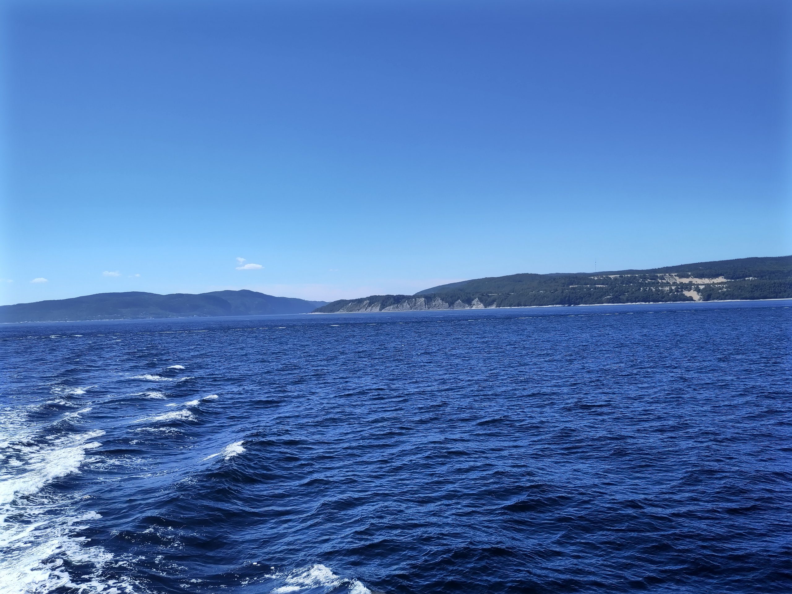 Sacré-Cœur à Tadoussac : Une Rencontre Unique avec la Faune