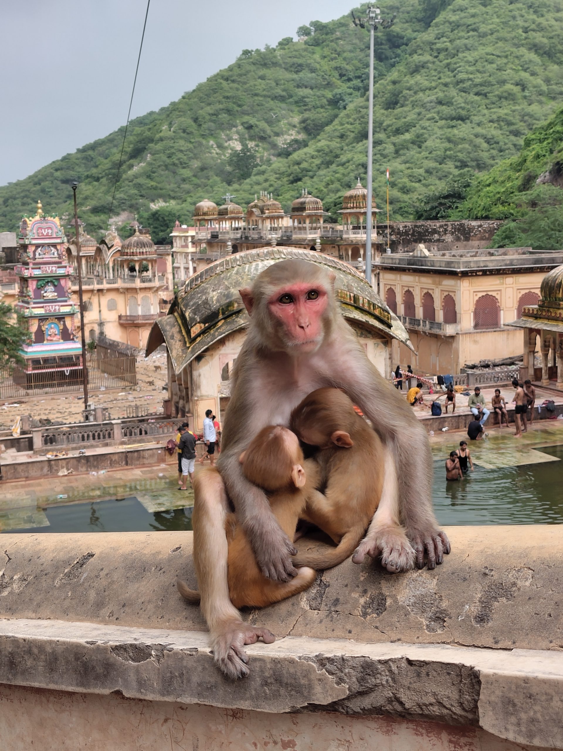 De Chandelao à Jaipur : Un Final Riche en Émotions au Rajasthan