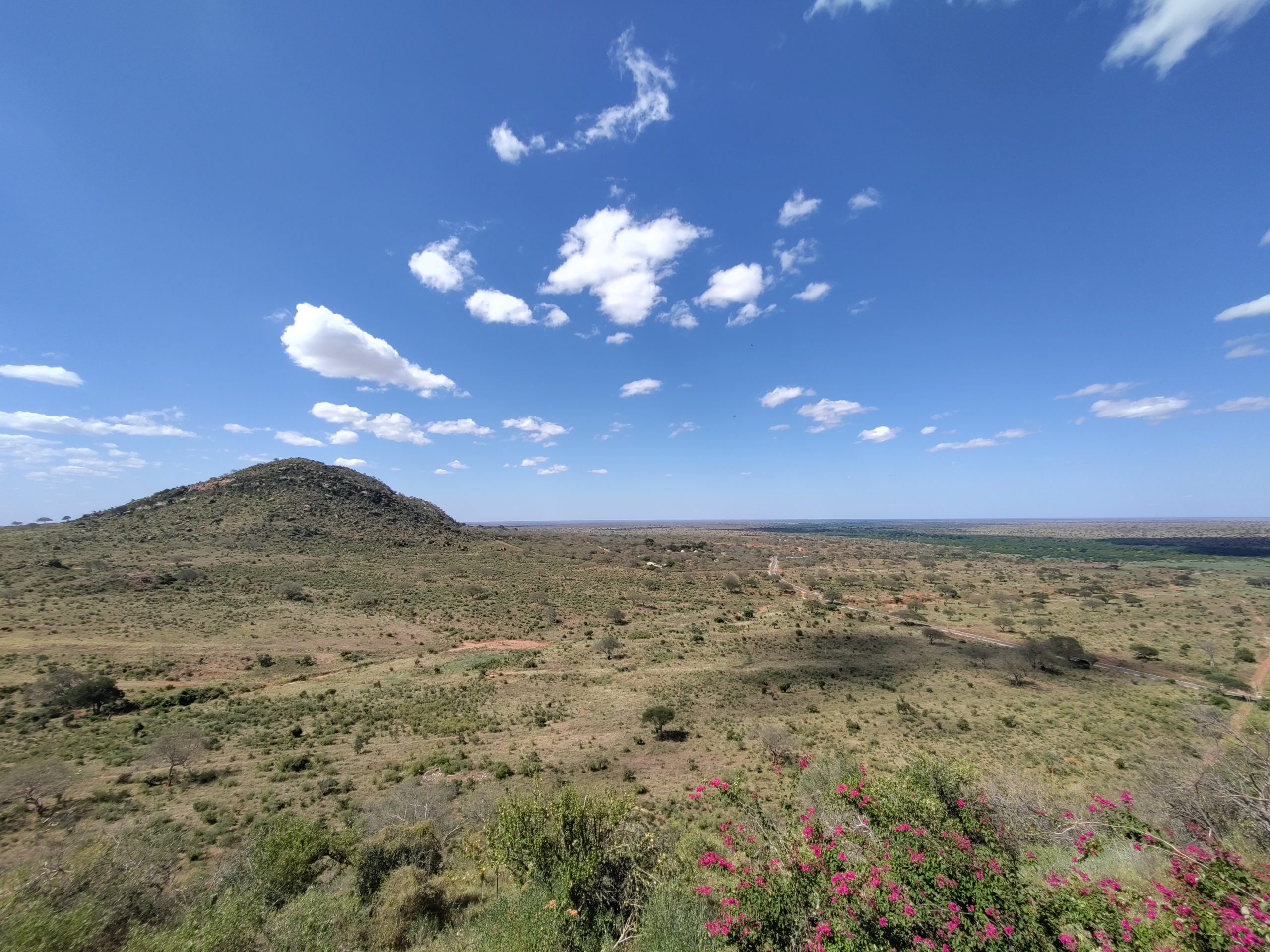 Voyager Kenya Panorama sur la savane avec collines et ciel bleu